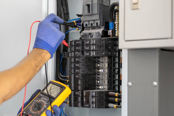 Best Electrical Panel Upgrades  in Cuero, TX